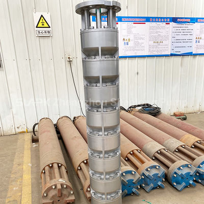 10 inch 12 inch 14 inch High-Performance Stainless Steel Submersible Pumps for Seawater Lifting