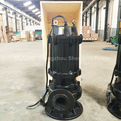 High-Efficiency Submersible Sewage Pump, 220m³/h Flow Municipal Engineering Detailed Installation Manual