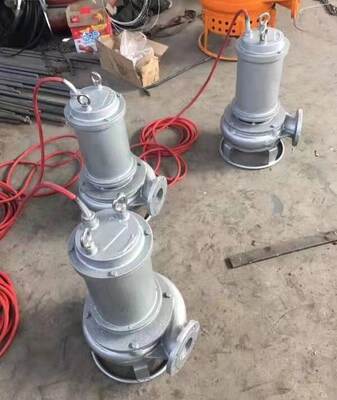 Duck Farm Slurry Submersible Pump SS304 With Head Up To 80 Meters Offering Performance in Demanding Slurry Applications