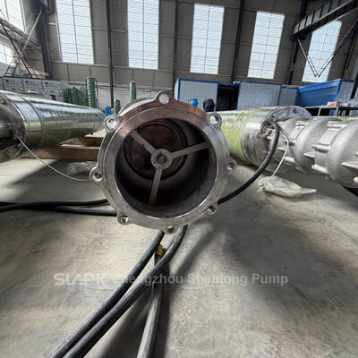 Electric Motor Seawater Transfer Pump Vertical or Horizontal Submersible Installation Engineered for Seawater Handling Solutions