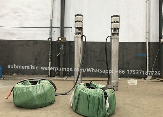 Seafood Sea Water Lifting Submersible Pump