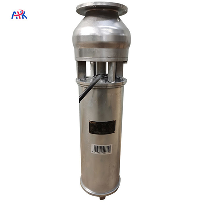 40m3/H 12m Stainless Steel Fountain Submersible Pump Lake Pond Horizontal