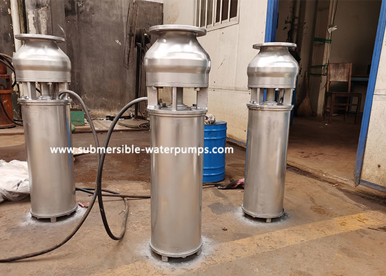 40m3/H 12m Stainless Steel Fountain Submersible Pump Lake Pond Horizontal